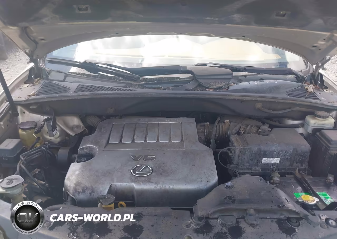 2007 Lexus Rx 350 VIN:2T2HK31U07C029493 - 10