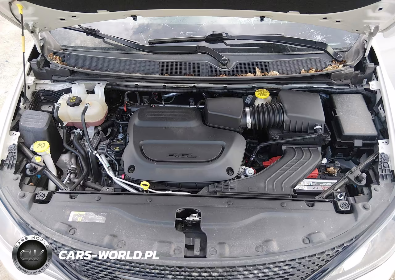 2020 Chrysler Pacifica Touring L Plus VIN:2C4RC1EG3LR210032 - 10