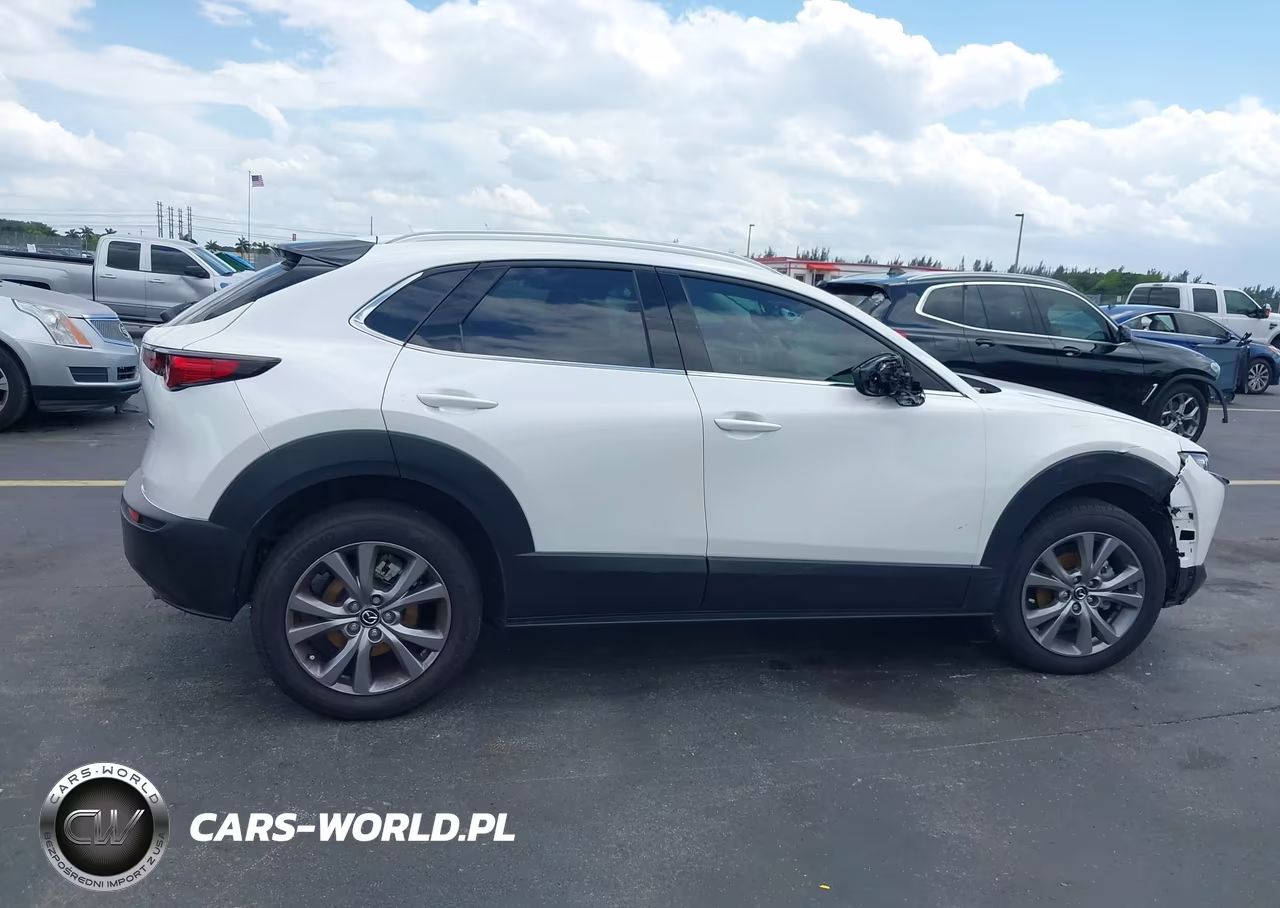 2021 Mazda Cx-30 Premium VIN:3MVDMBDL3MM209918 - 13