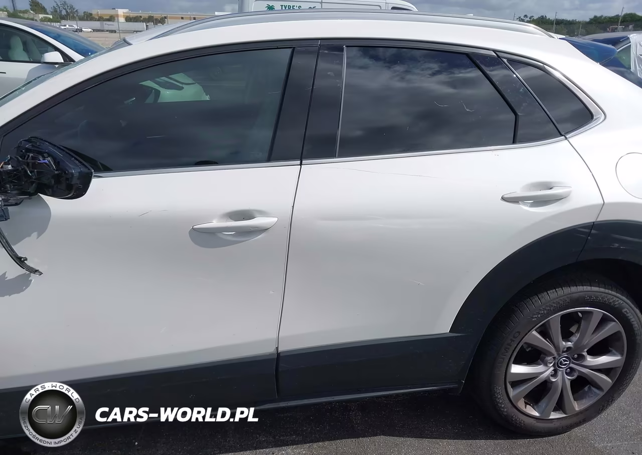 2021 Mazda Cx-30 Premium VIN:3MVDMBDL3MM209918 - 17