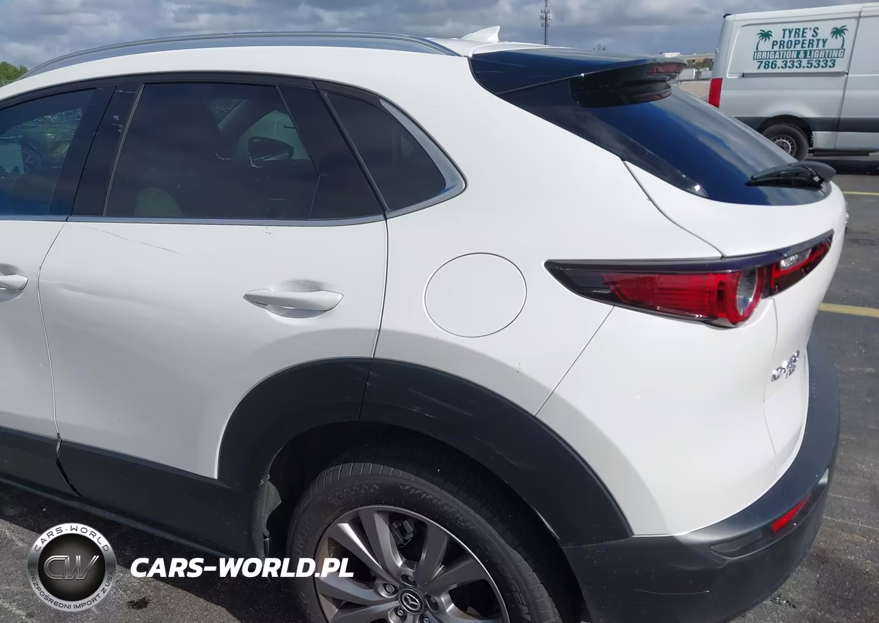 2021 Mazda Cx-30 Premium VIN:3MVDMBDL3MM209918 - 18