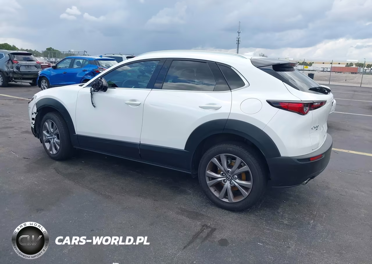 2021 Mazda Cx-30 Premium VIN:3MVDMBDL3MM209918 - 3