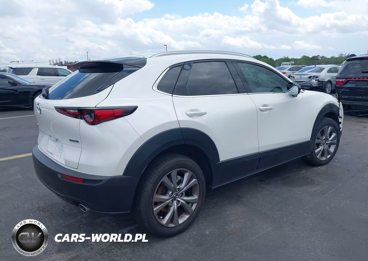 2021 Mazda Cx-30 Premium VIN:3MVDMBDL3MM209918 - 4