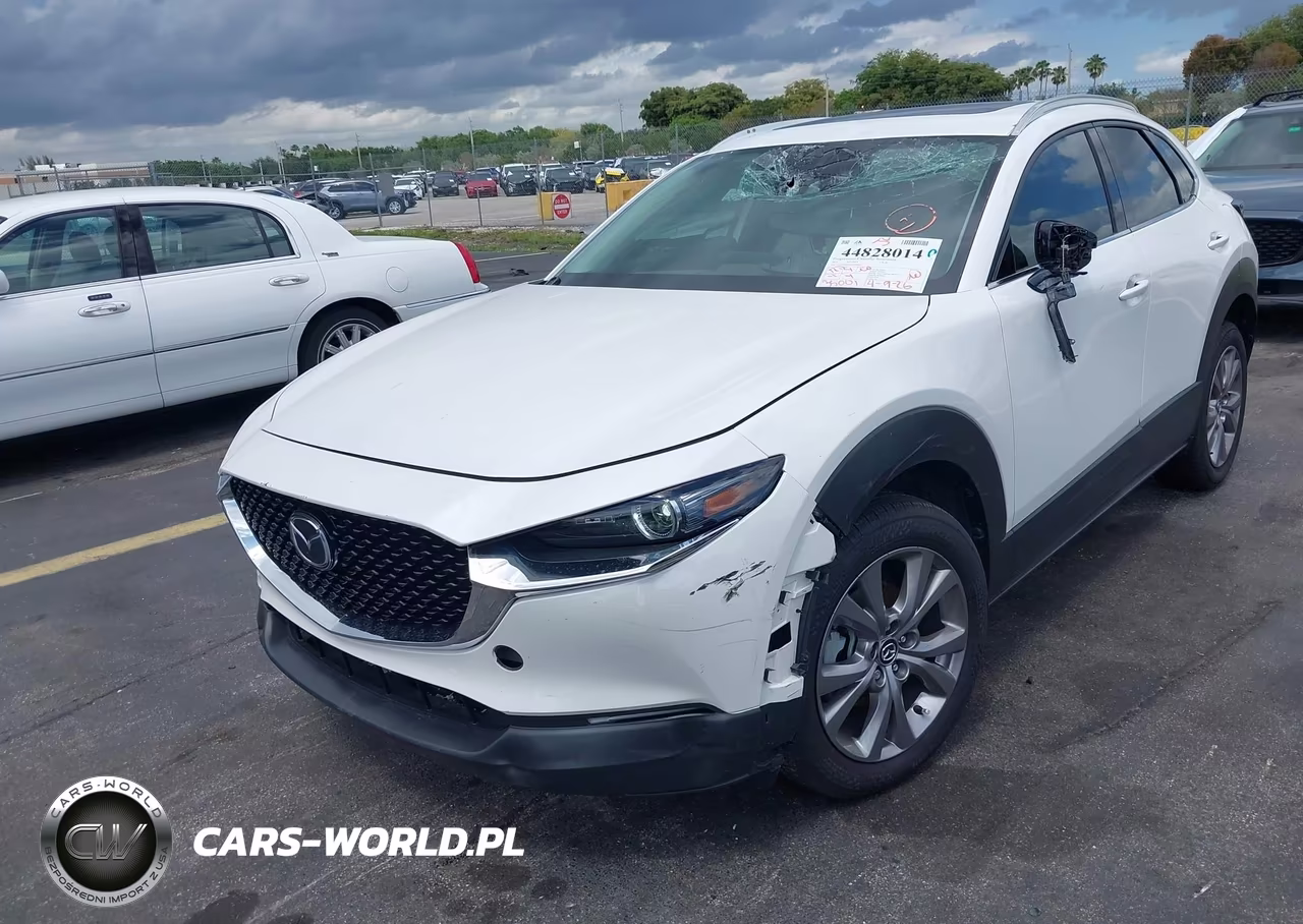 2021 Mazda Cx-30 Premium VIN:3MVDMBDL3MM209918 - 6