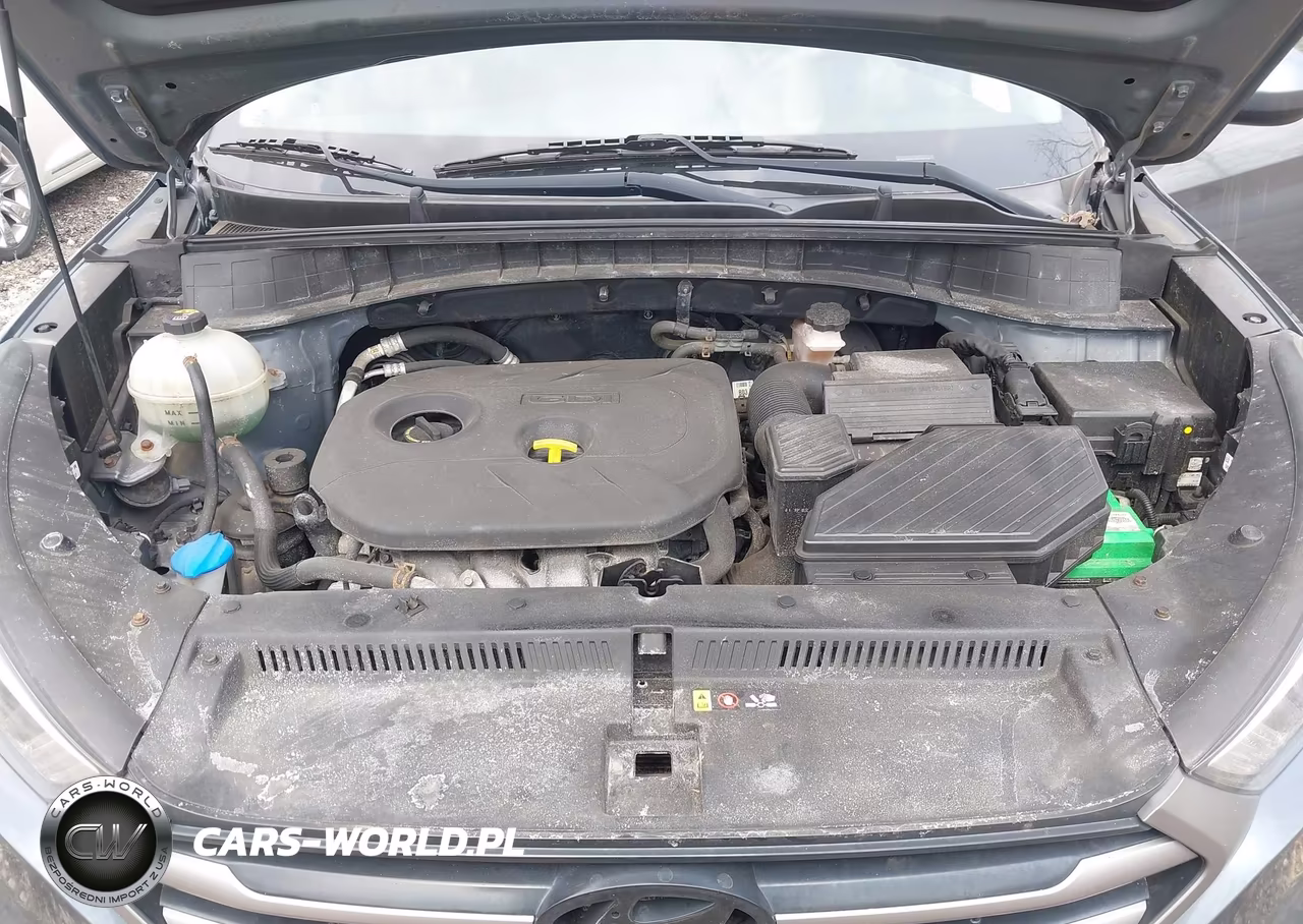 2016 Hyundai Tucson Se VIN:KM8J3CA4XGU036775 - 10