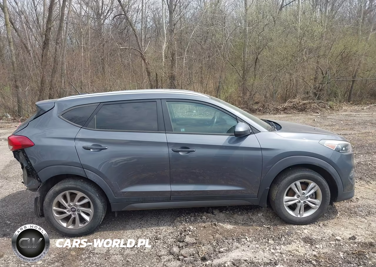 2016 Hyundai Tucson Se VIN:KM8J3CA4XGU036775 - 12