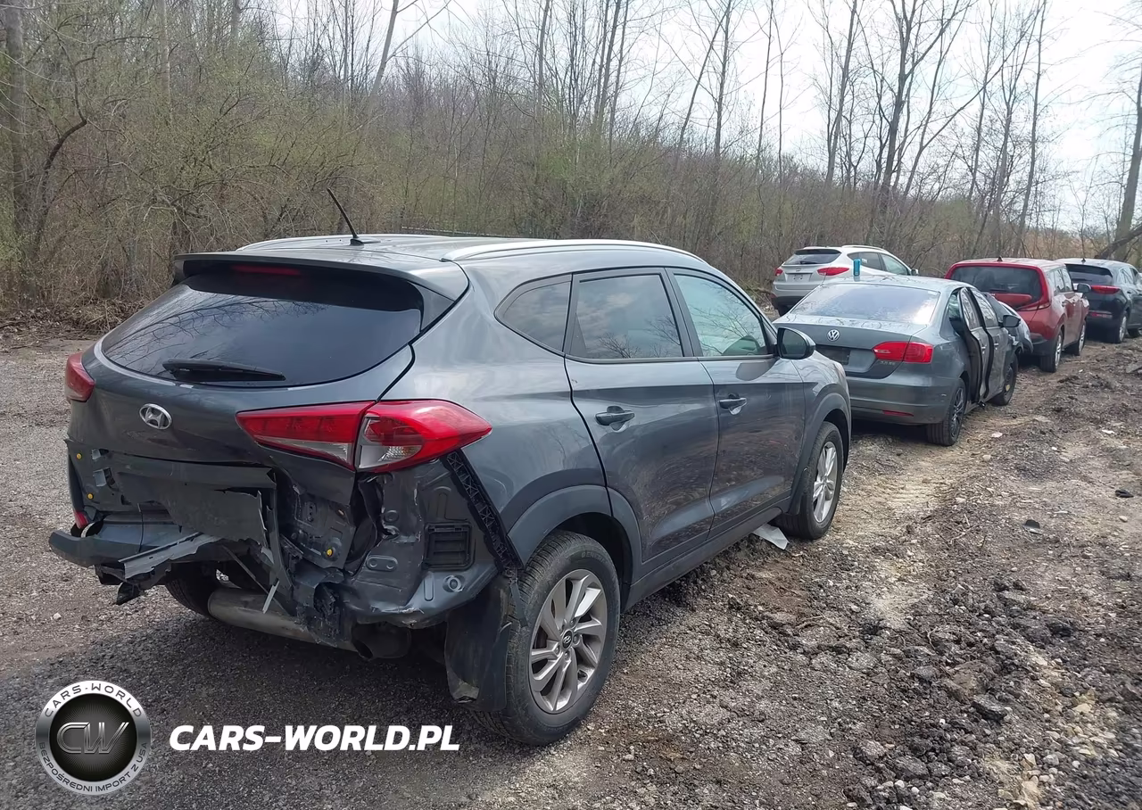 2016 Hyundai Tucson Se VIN:KM8J3CA4XGU036775 - 4