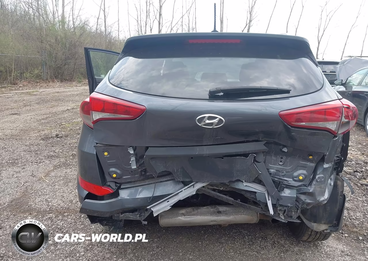 2016 Hyundai Tucson Se VIN:KM8J3CA4XGU036775 - 6