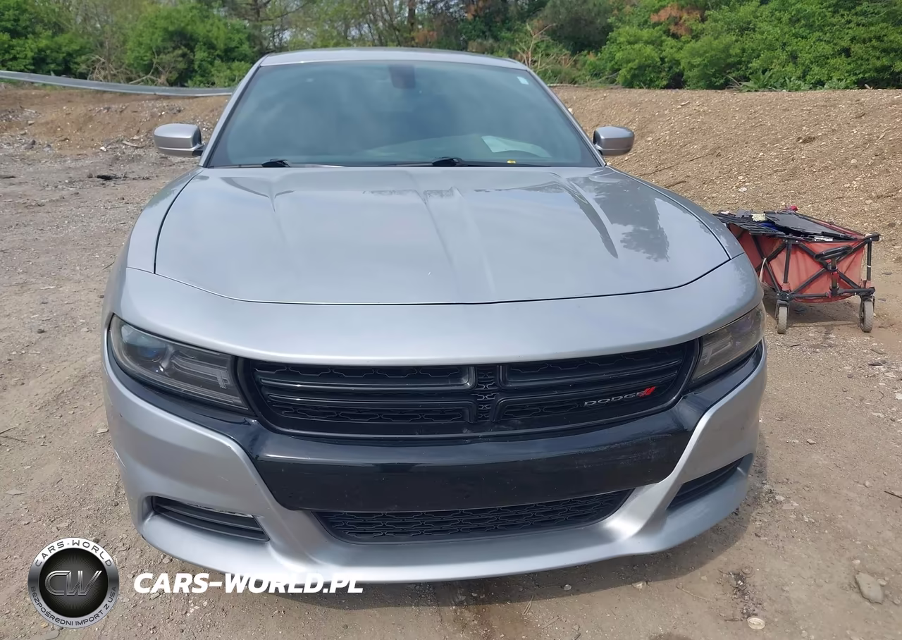 2016 Dodge Charger Sxt VIN:2C3CDXHGXGH187110 - 12
