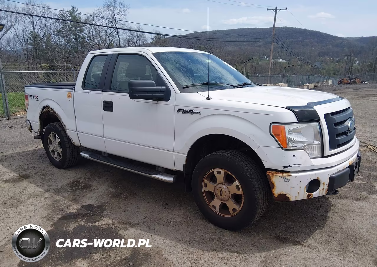 2009 Ford F-150 Stx-Xl-Xlt