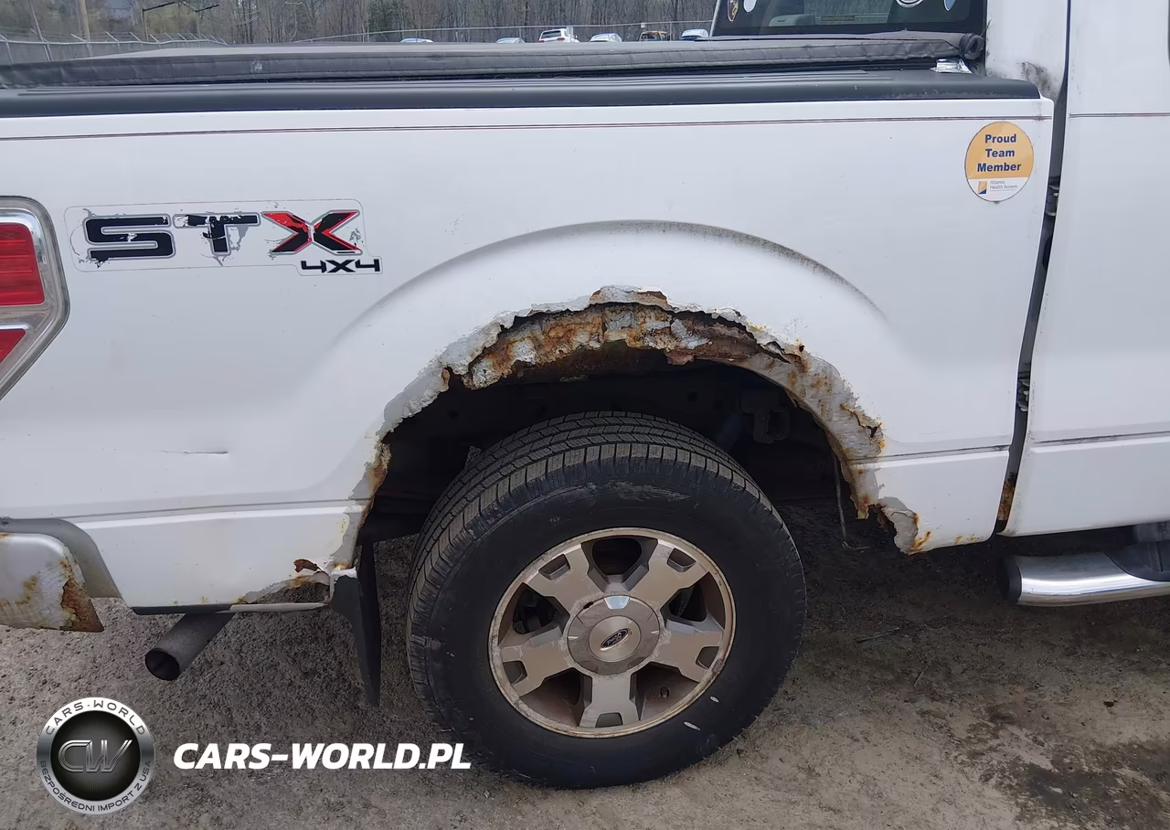 2009 Ford F-150 Stx-Xl-Xlt VIN:1FTRX14829KB50363 - 12