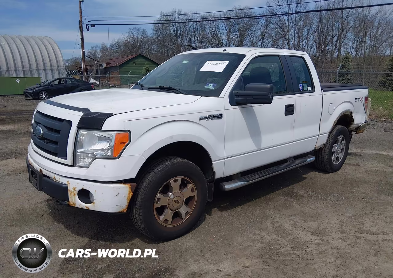 2009 Ford F-150 Stx-Xl-Xlt VIN:1FTRX14829KB50363 - 2