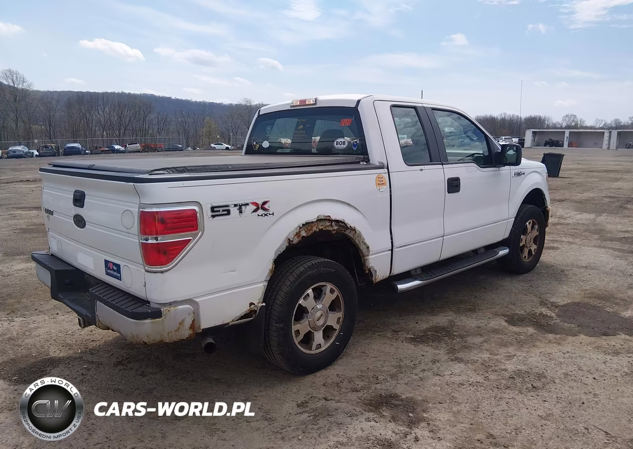 2009 Ford F-150 Stx-Xl-Xlt VIN:1FTRX14829KB50363 - 4