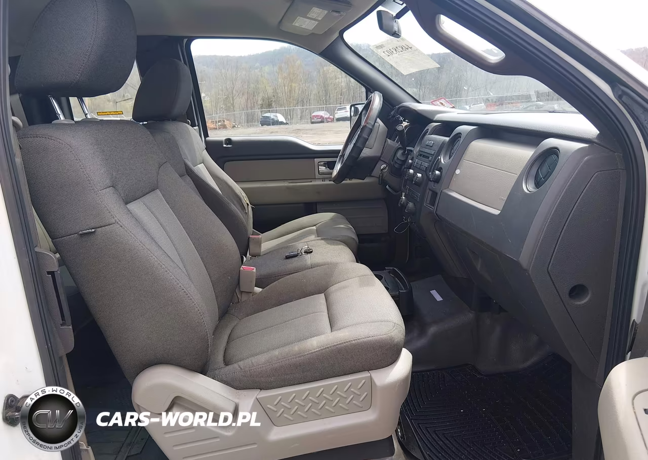 2009 Ford F-150 Stx-Xl-Xlt VIN:1FTRX14829KB50363 - 5