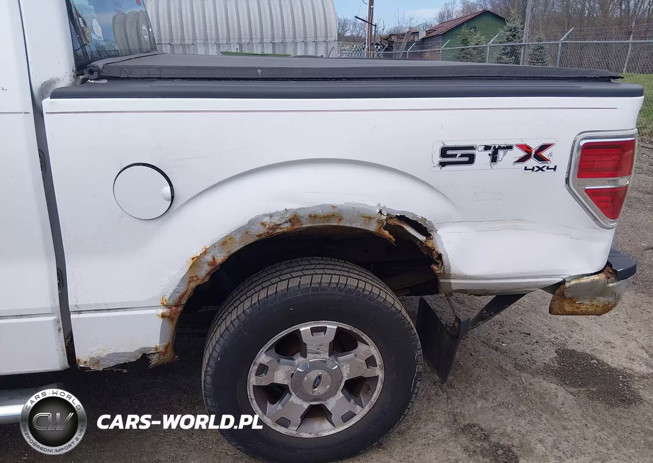 2009 Ford F-150 Stx-Xl-Xlt VIN:1FTRX14829KB50363 - 6
