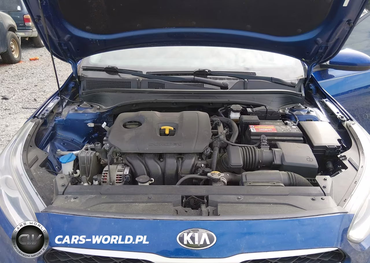 2019 Kia Forte Lxs VIN:3KPF24AD7KE013609 - 10