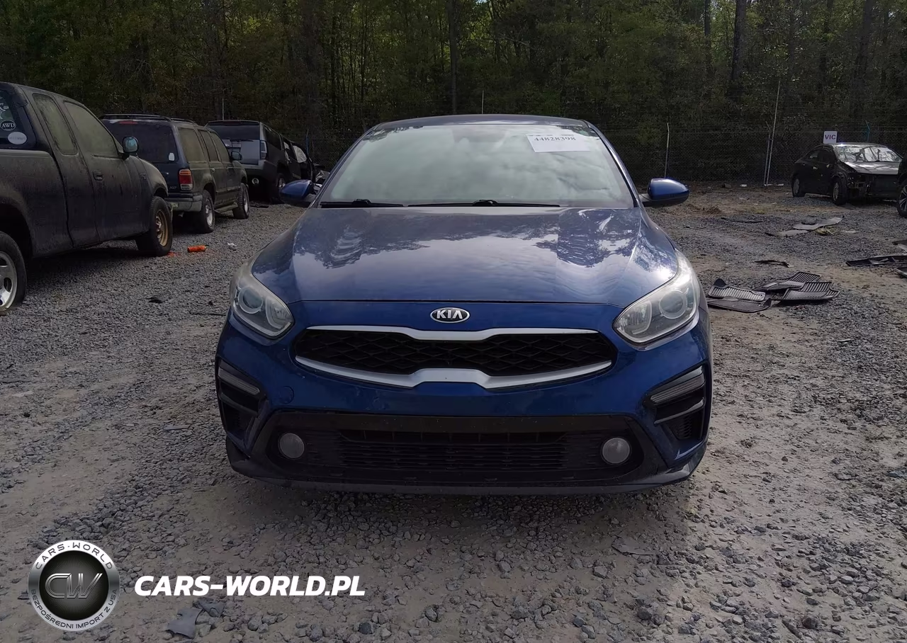 2019 Kia Forte Lxs VIN:3KPF24AD7KE013609 - 12