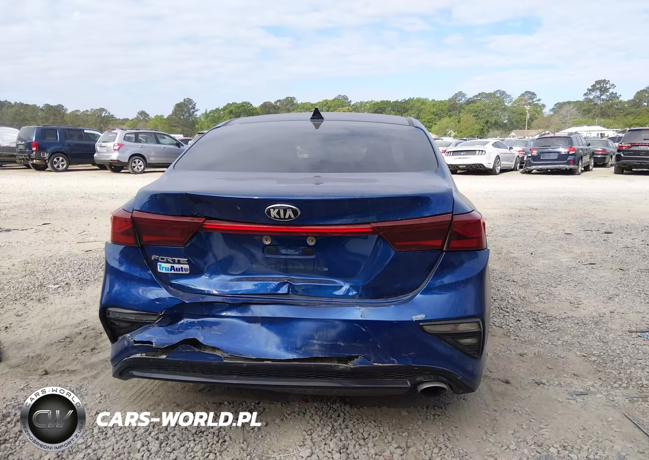 2019 Kia Forte Lxs VIN:3KPF24AD7KE013609 - 16
