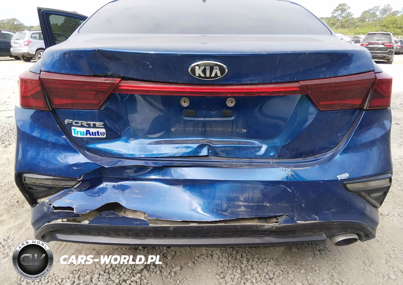 2019 Kia Forte Lxs VIN:3KPF24AD7KE013609 - 6