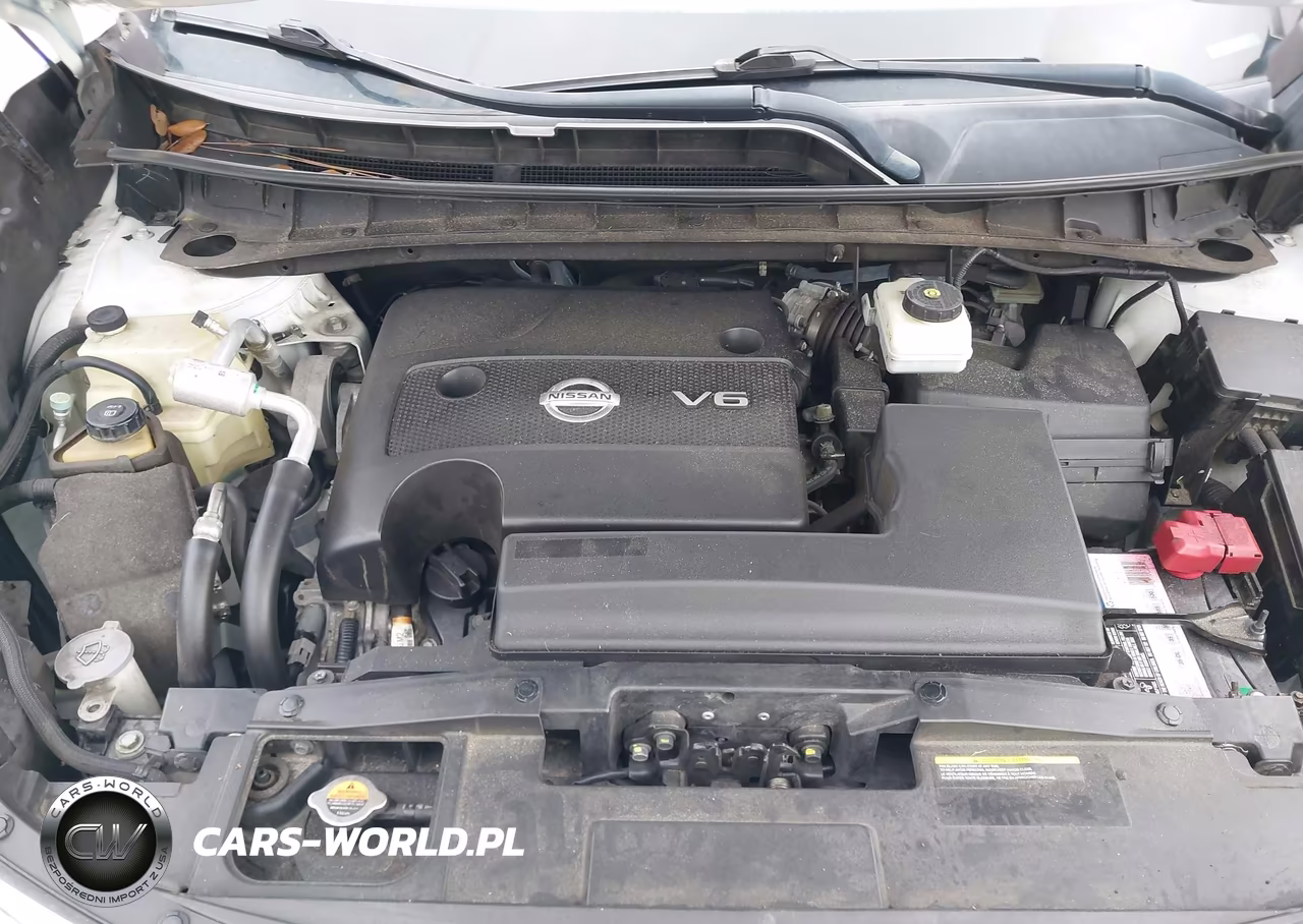 2015 Nissan Murano Sv VIN:5N1AZ2MG4FN269901 - 10
