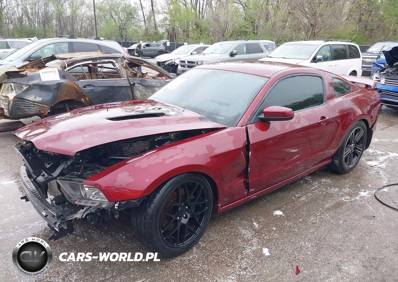 2014 Ford Mustang Gt Premium VIN:1ZVBP8CF7E5306395 - 2