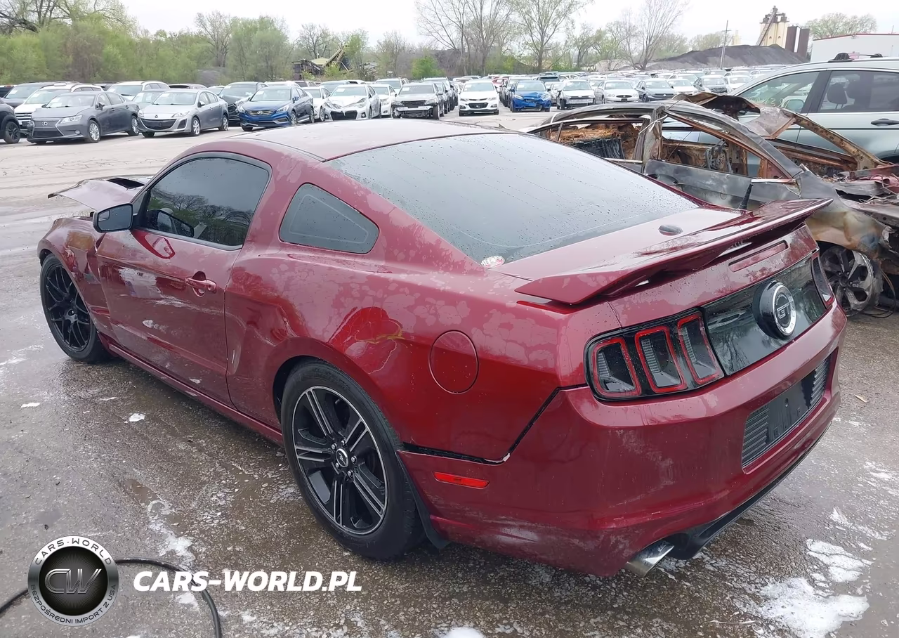 2014 Ford Mustang Gt Premium VIN:1ZVBP8CF7E5306395 - 3
