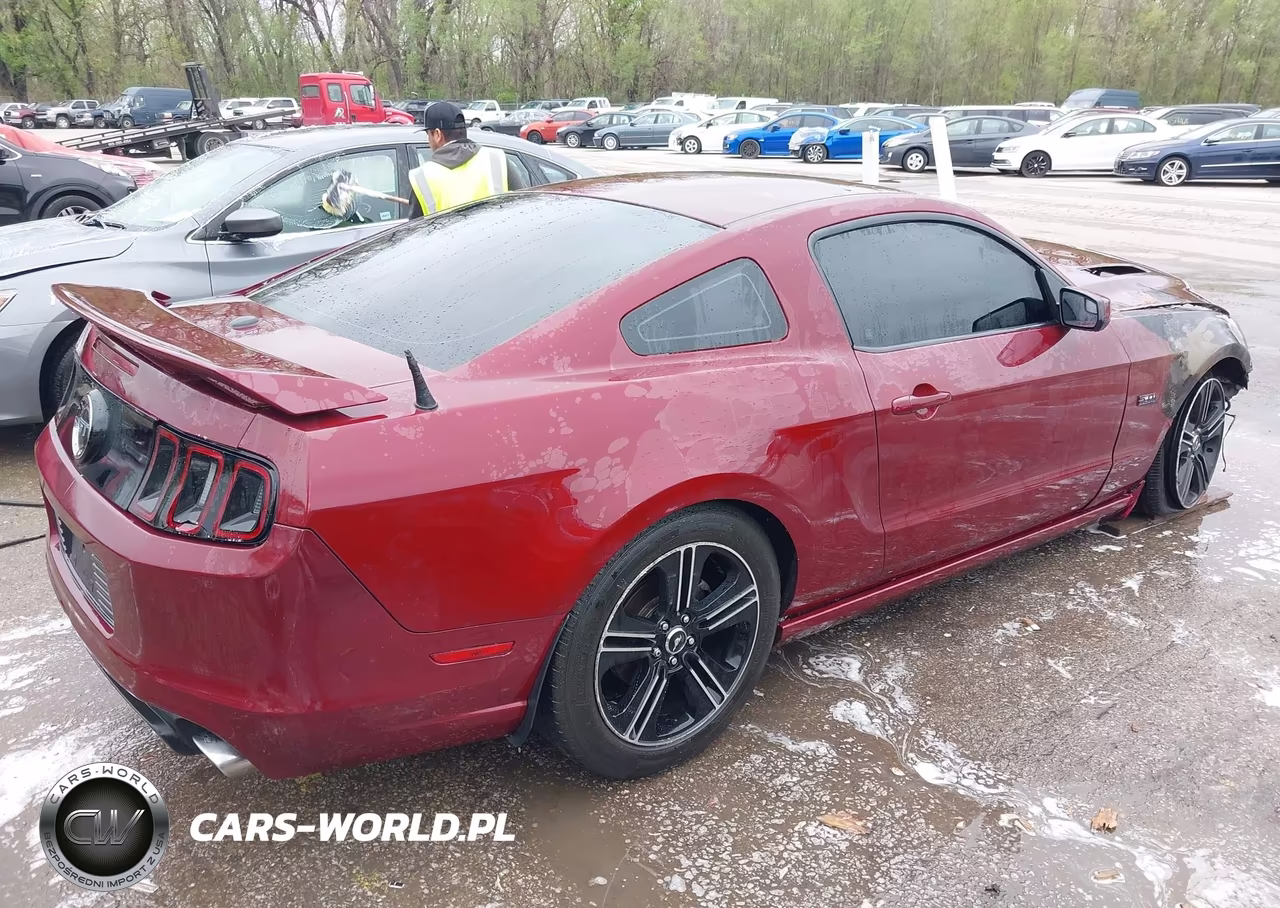 2014 Ford Mustang Gt Premium VIN:1ZVBP8CF7E5306395 - 4