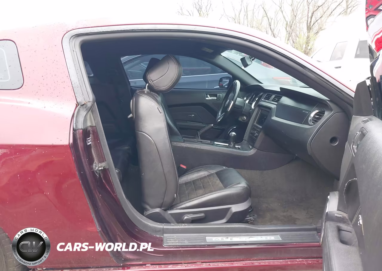 2014 Ford Mustang Gt Premium VIN:1ZVBP8CF7E5306395 - 5