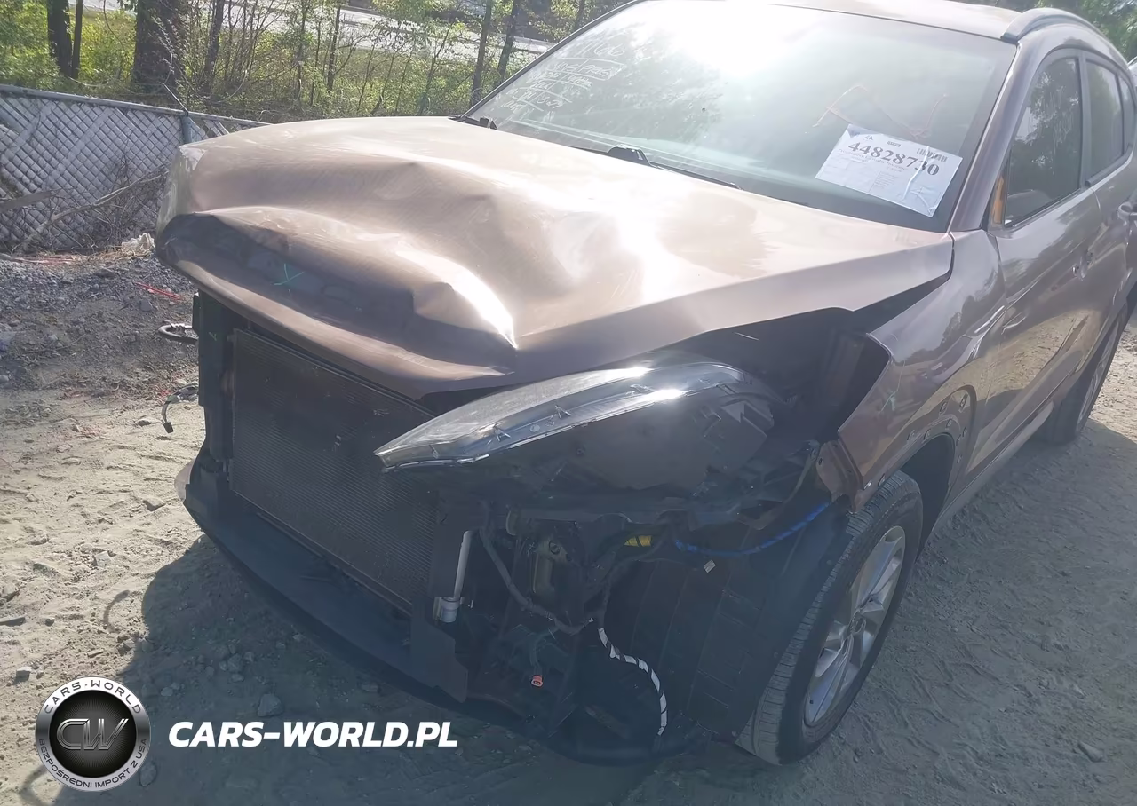 2017 Hyundai Tucson Se VIN:KM8J3CA48HU318205 - 6