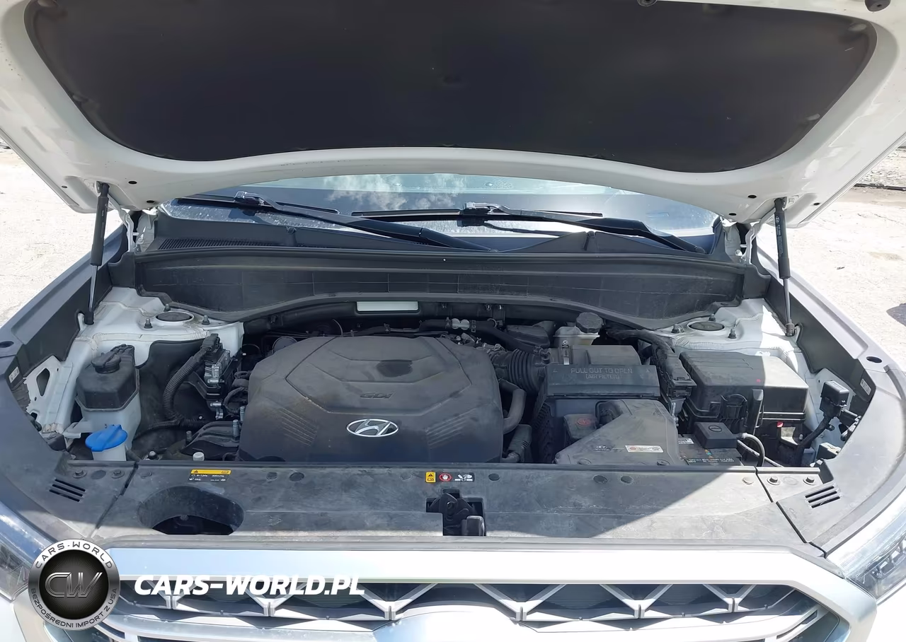 2020 Hyundai Palisade Limited VIN:KM8R54HE8LU088255 - 10