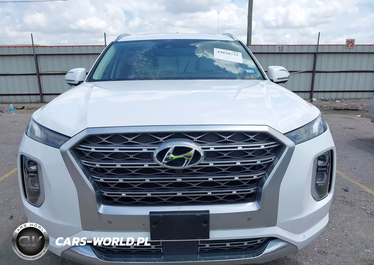 2020 Hyundai Palisade Limited VIN:KM8R54HE8LU088255 - 12