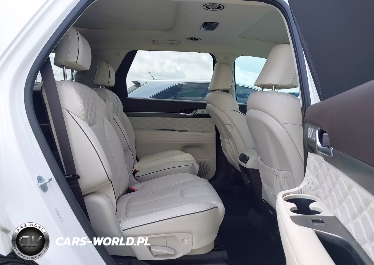 2020 Hyundai Palisade Limited VIN:KM8R54HE8LU088255 - 8