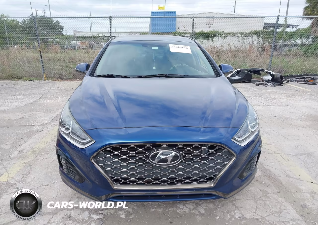 2019 Hyundai Sonata Sel VIN:5NPE34AF0KH820222 - 12