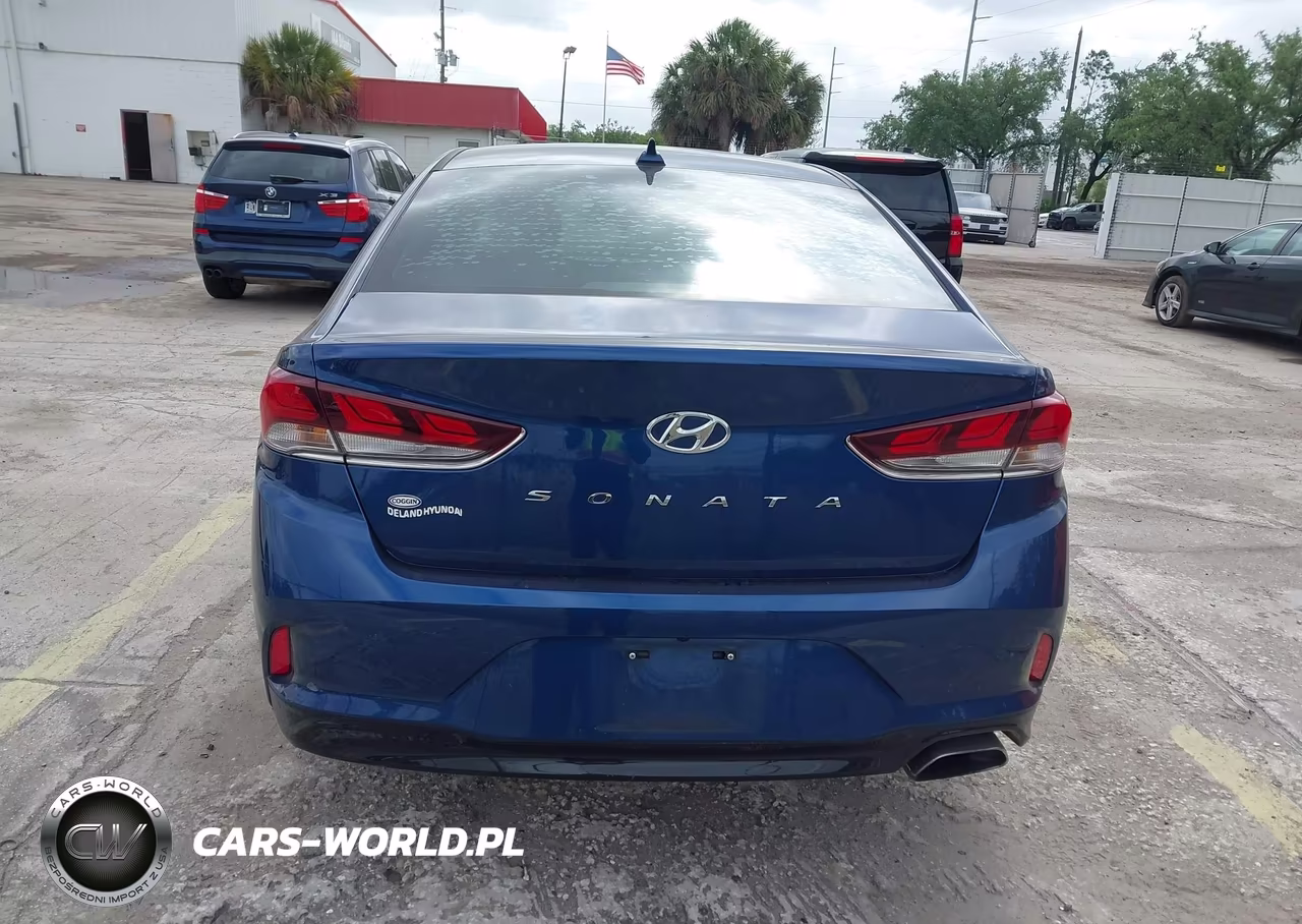 2019 Hyundai Sonata Sel VIN:5NPE34AF0KH820222 - 16