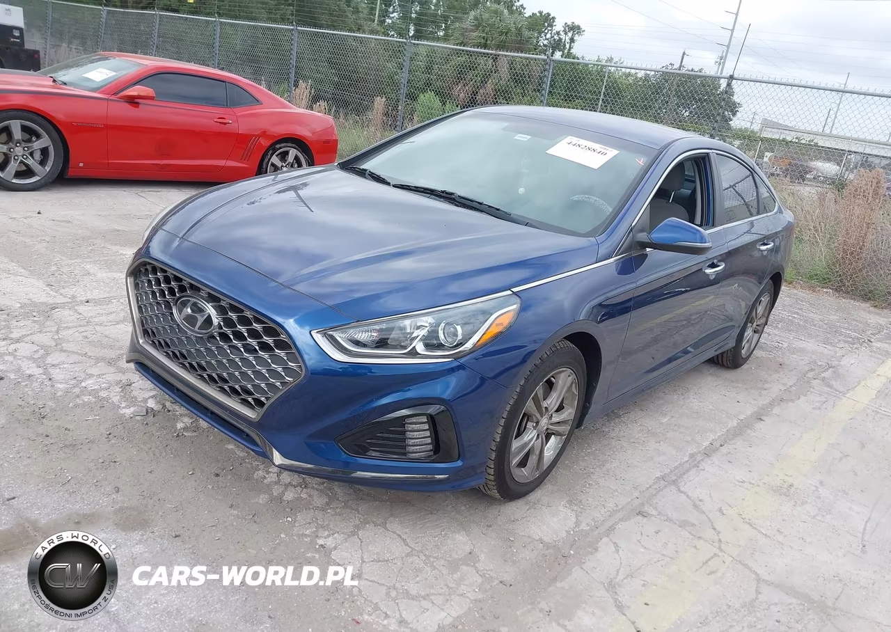 2019 Hyundai Sonata Sel VIN:5NPE34AF0KH820222 - 2