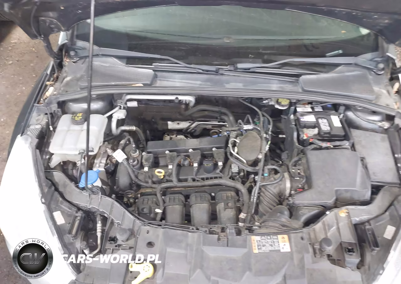 2016 Ford Focus Se VIN:1FADP3F26GL296602 - 10