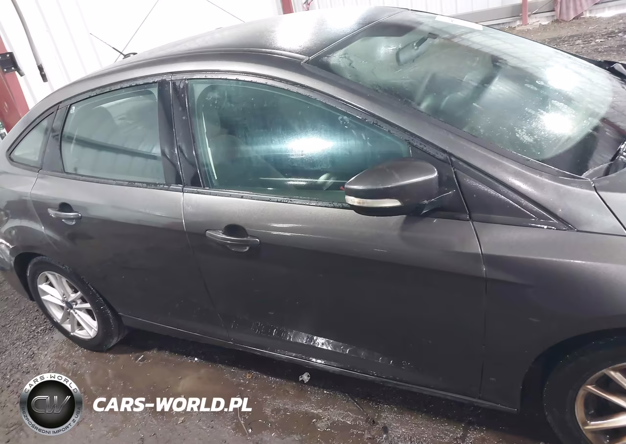 2016 Ford Focus Se VIN:1FADP3F26GL296602 - 13