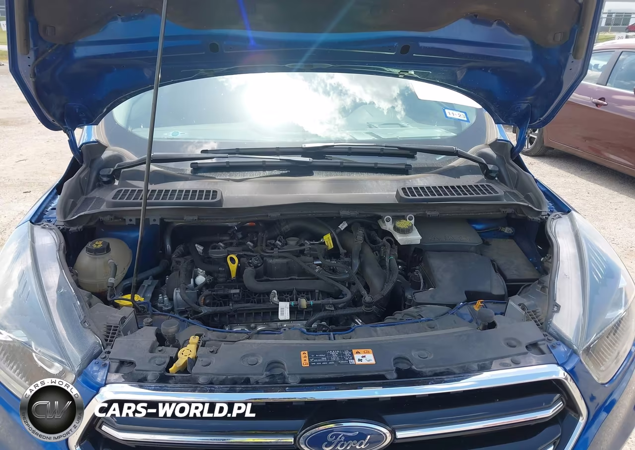 2019 Ford Escape Se VIN:1FMCU0GD5KUA34050 - 10