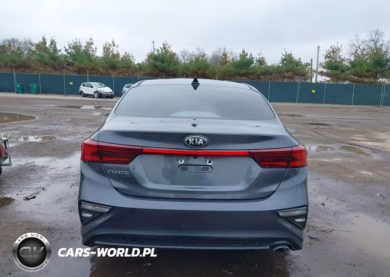 2021 Kia Forte Lxs VIN:3KPF24AD9ME359860 - 17