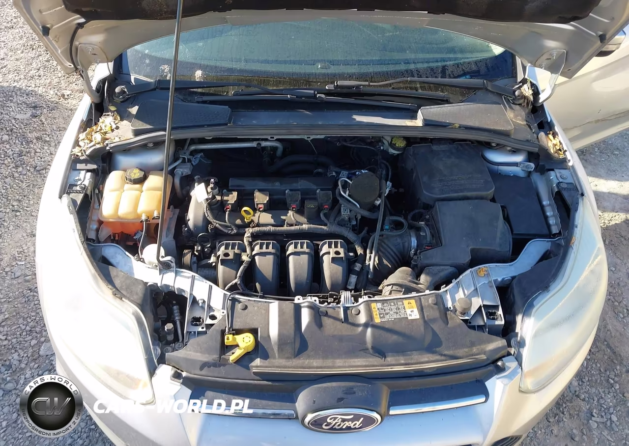 2014 Ford Focus Se VIN:1FADP3K28EL422008 - 10