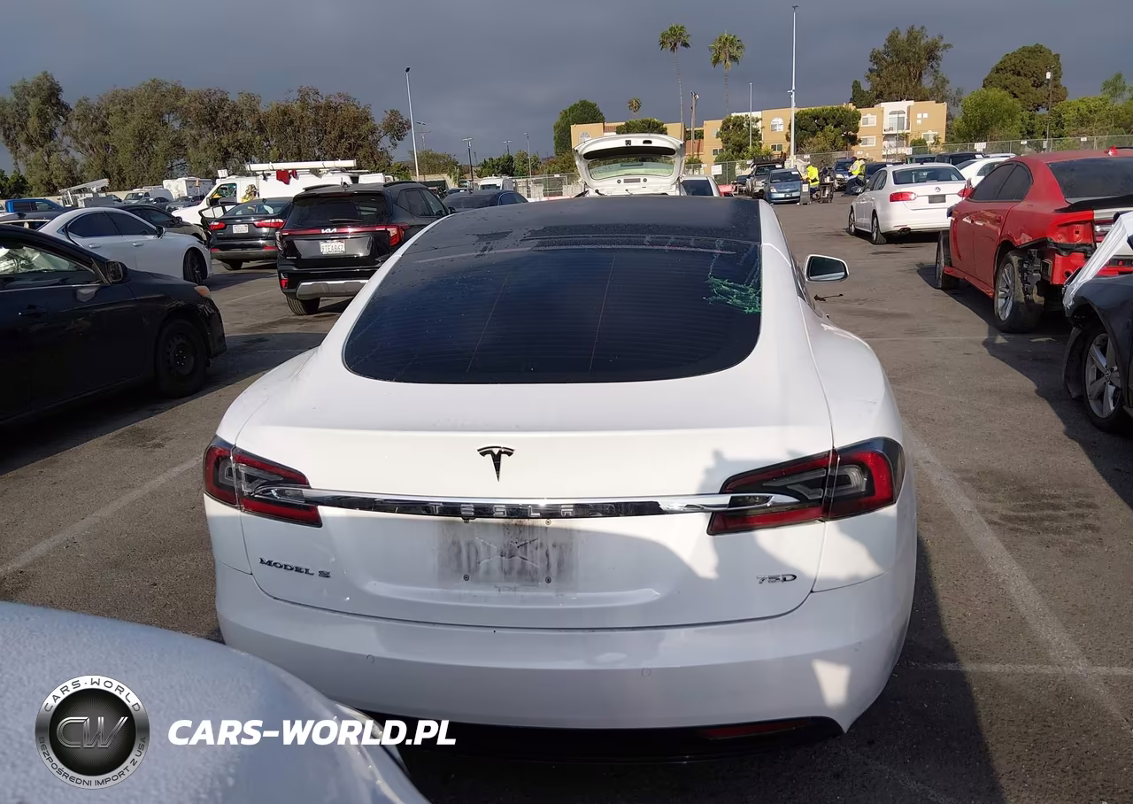 2018 Tesla Model S 100D-75D-P100D VIN:5YJSA1E28JF249106 - 17