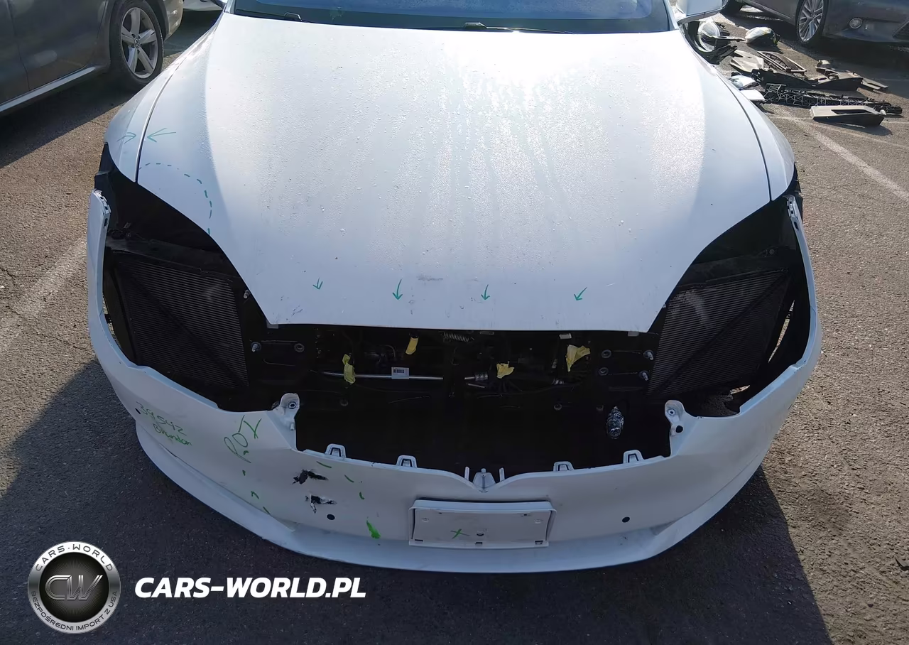 2018 Tesla Model S 100D-75D-P100D VIN:5YJSA1E28JF249106 - 6
