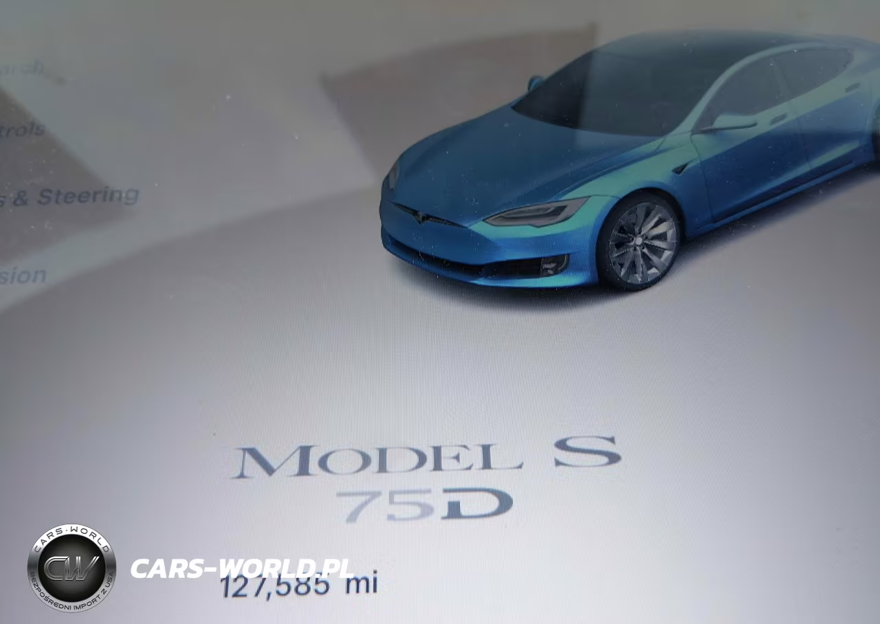 2018 Tesla Model S 100D-75D-P100D VIN:5YJSA1E28JF249106 - 7