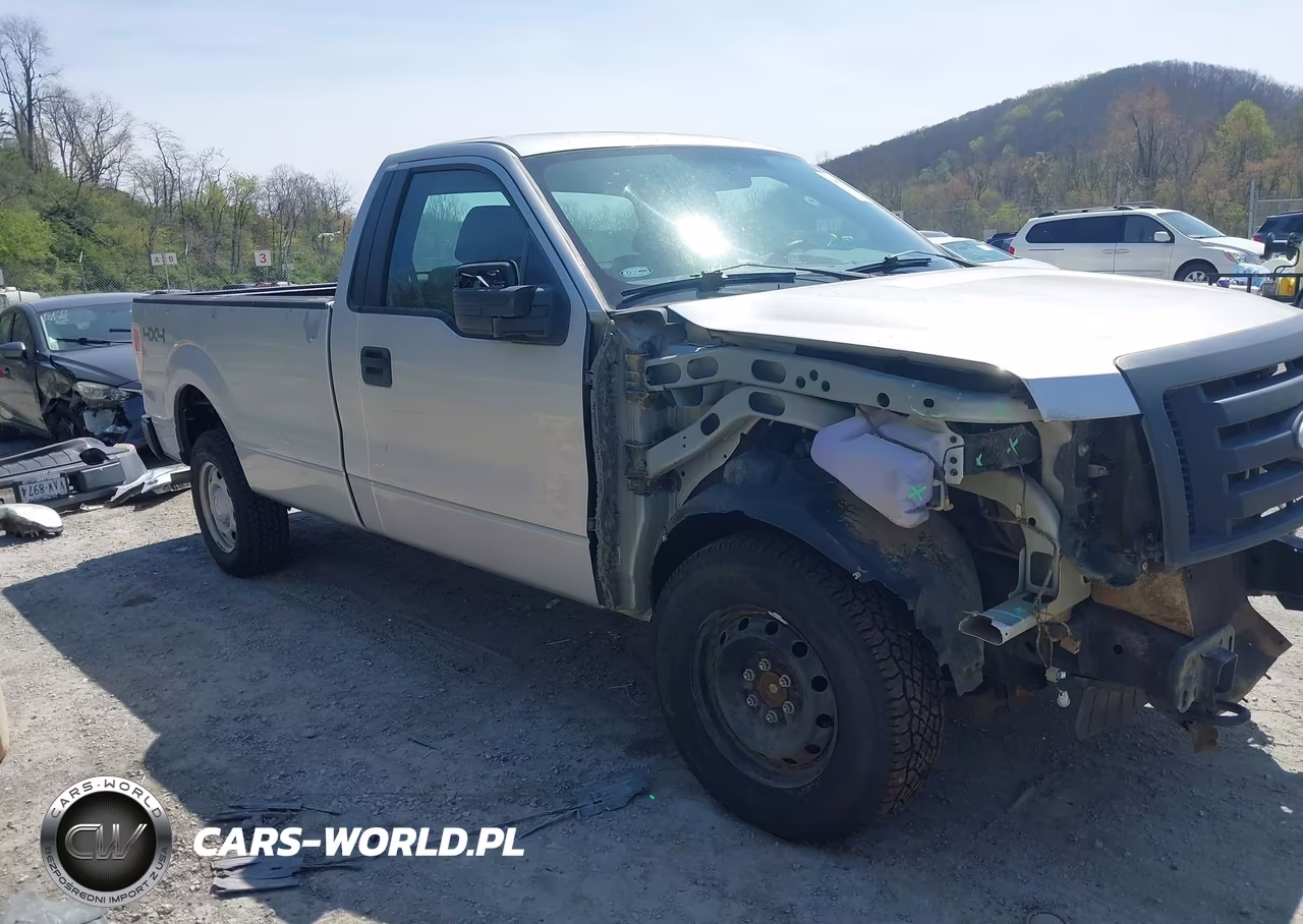 2010 Ford F-150 Xl