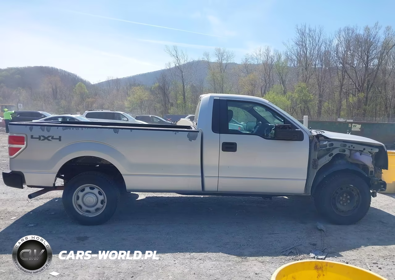 2010 Ford F-150 Xl VIN:1FTMF1EW6AKE47747 - 14