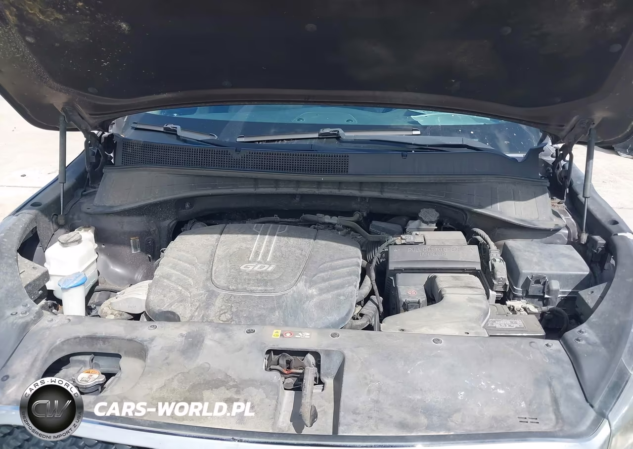 2016 Kia Sorento 3.3L Ex VIN:5XYPH4A52GG135199 - 10