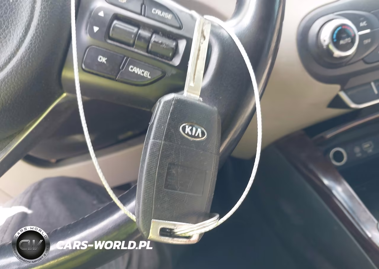 2016 Kia Sorento 3.3L Ex VIN:5XYPH4A52GG135199 - 11