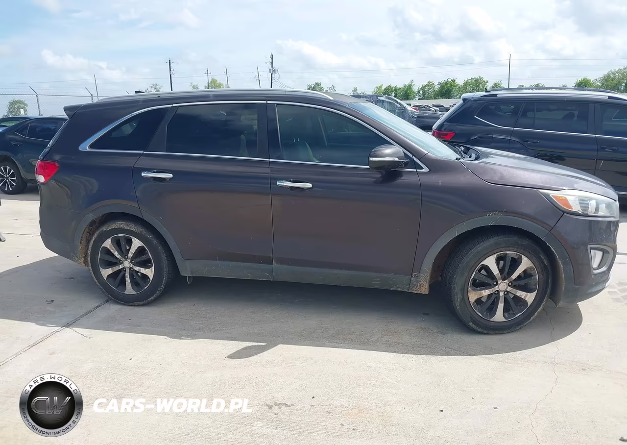 2016 Kia Sorento 3.3L Ex VIN:5XYPH4A52GG135199 - 13