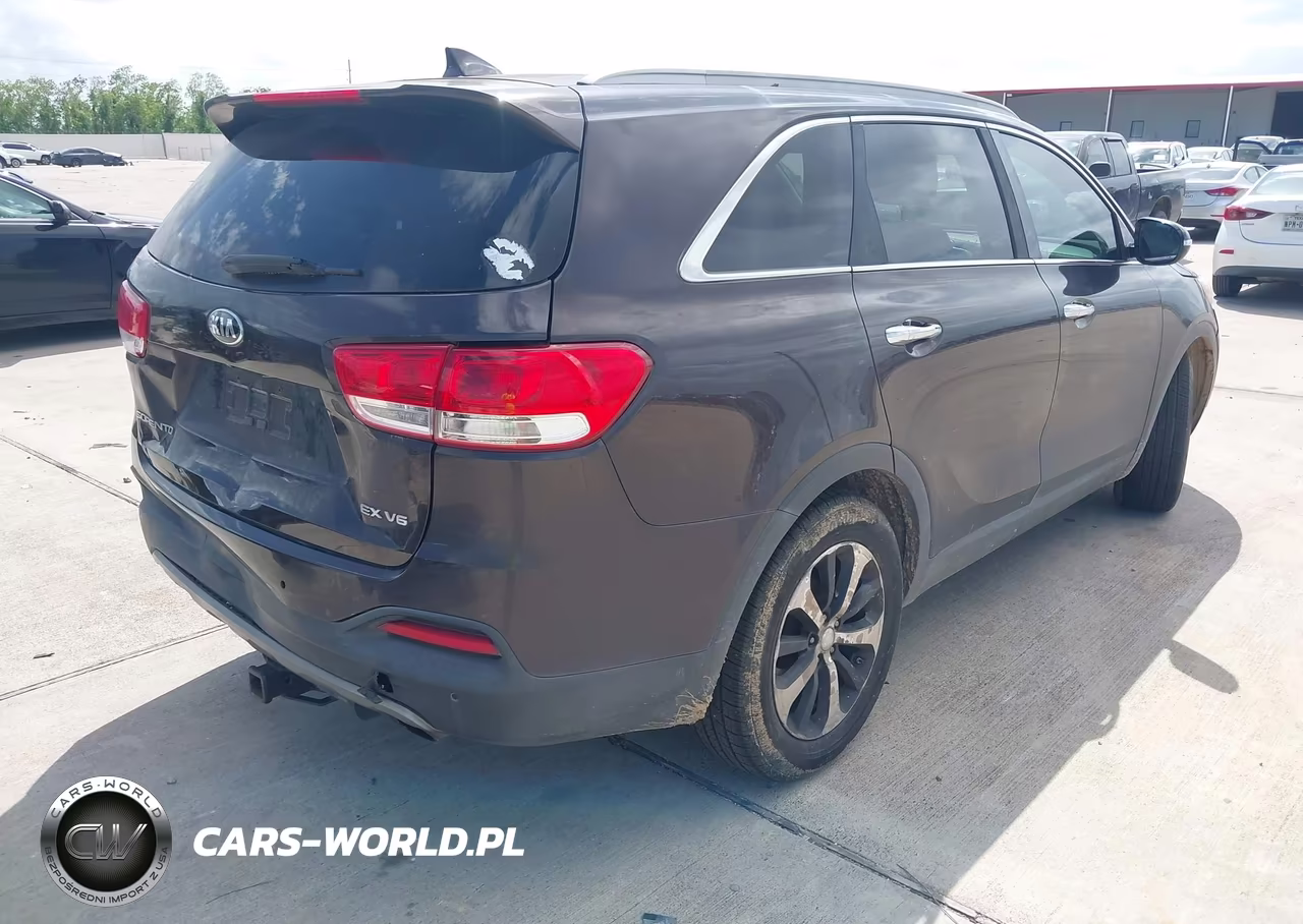 2016 Kia Sorento 3.3L Ex VIN:5XYPH4A52GG135199 - 4