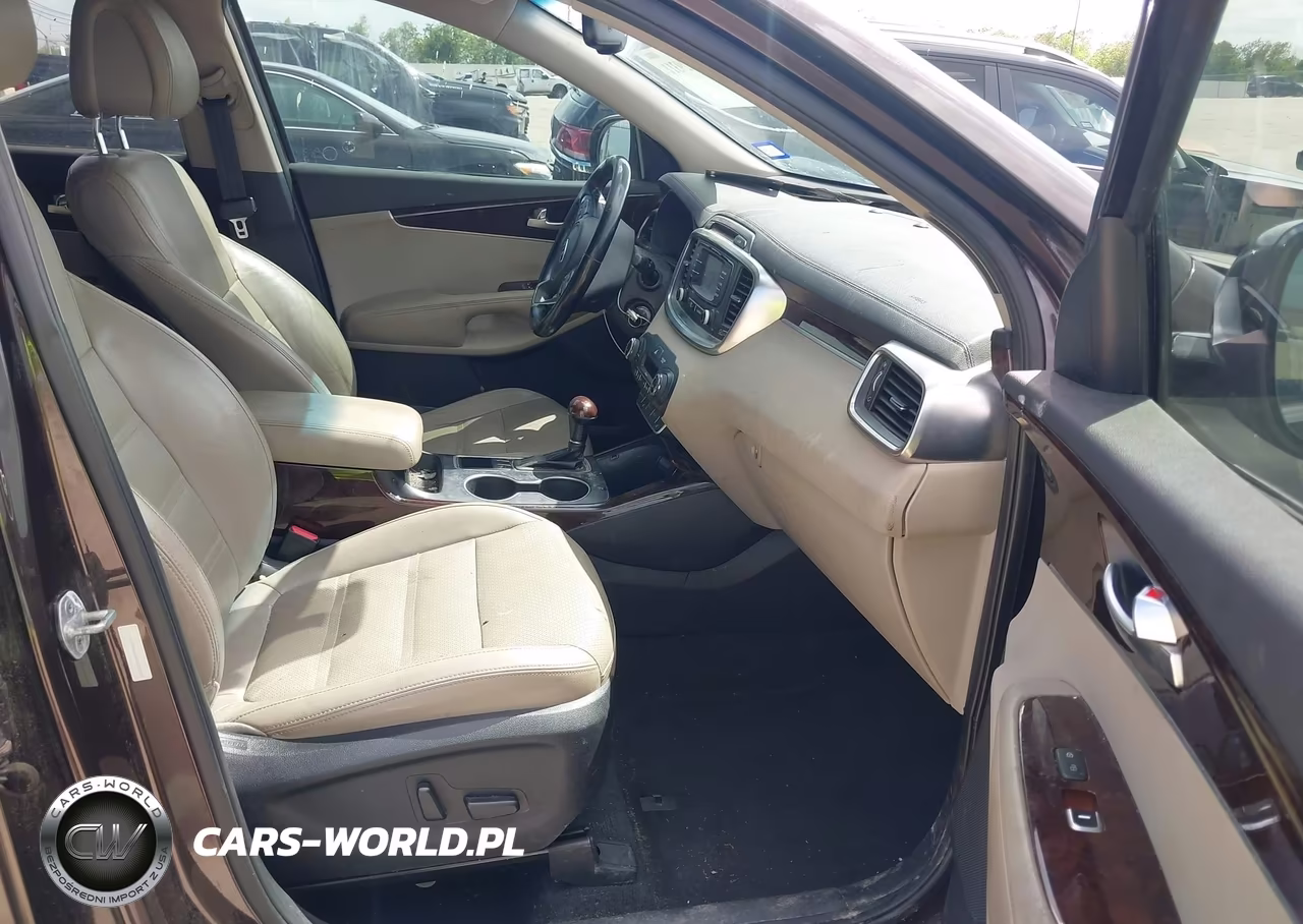 2016 Kia Sorento 3.3L Ex VIN:5XYPH4A52GG135199 - 5